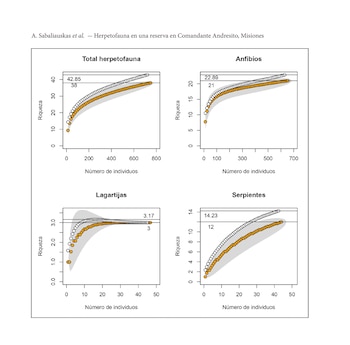 Encuentran 38 especies en la selva de Misiones y alertan por el impacto de los pastizales exóticos
