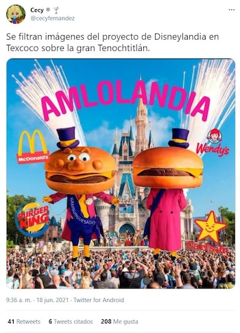 Foto: Captura de Twitter @cecyfernandez