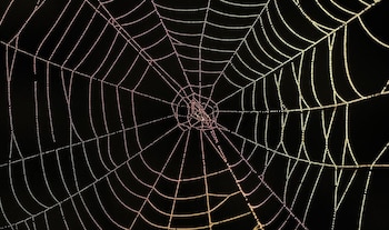 Este descubrimiento abre nuevas vías