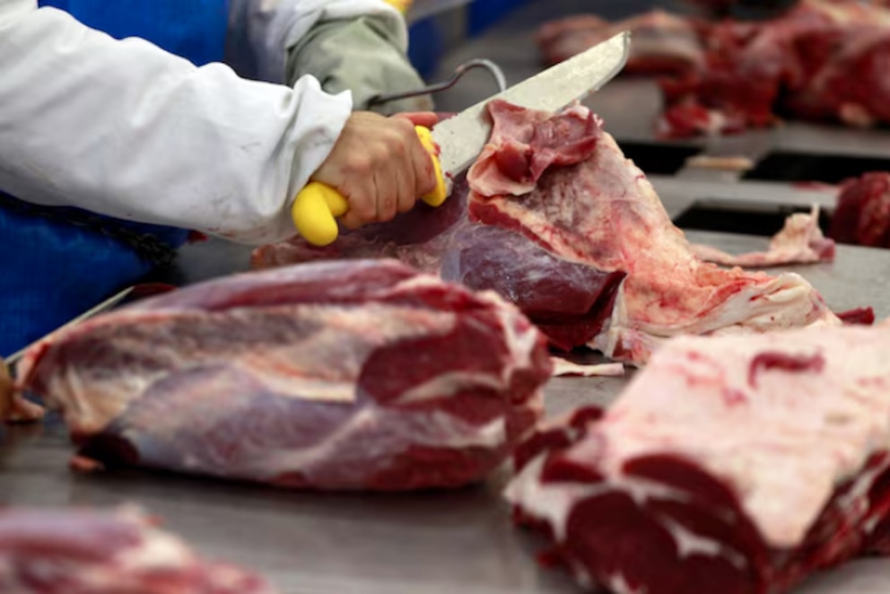 Boom exportador: las ventas de carne argentina a Estados Unidos se cuadruplicaron en mayo 2 LPQMGYRBYJH3TH5DCAAVYG4BZE
