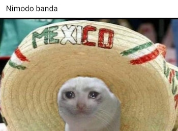 (Captura de pantalla)