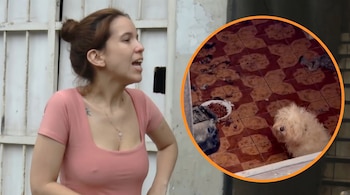 Una mujer con blusa rosada habla de pie y un recuadro circular muestra a un perro pequeño sobre un piso de baldosas con restos de comida.
