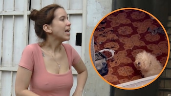Greissy Ortega es acusada de presunto maltrato animal: vecinos difunden videos y audios, pero ella niega sea su perro