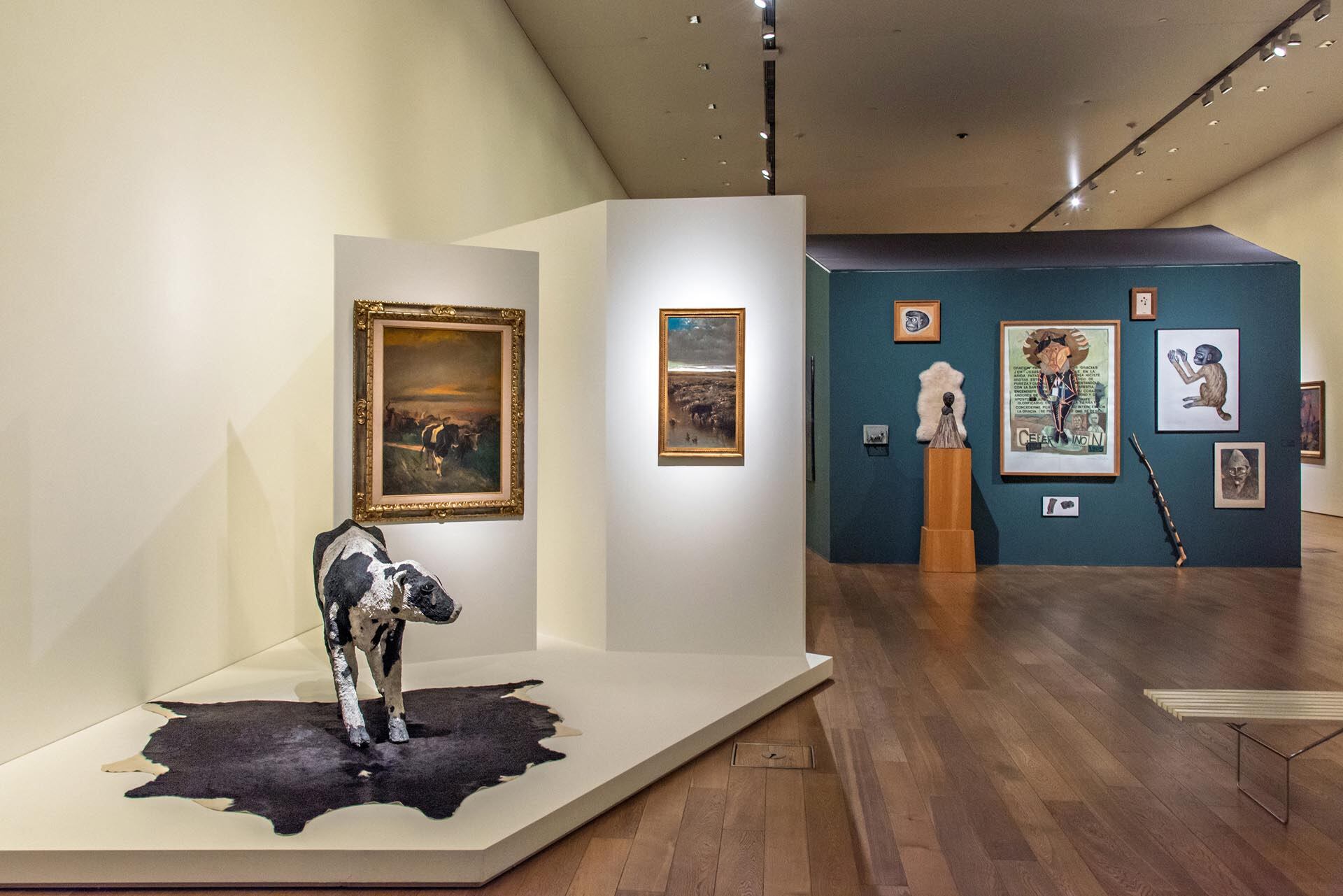 Un recorrido por el nuevo guion de arte argentino de la Colección Amalita