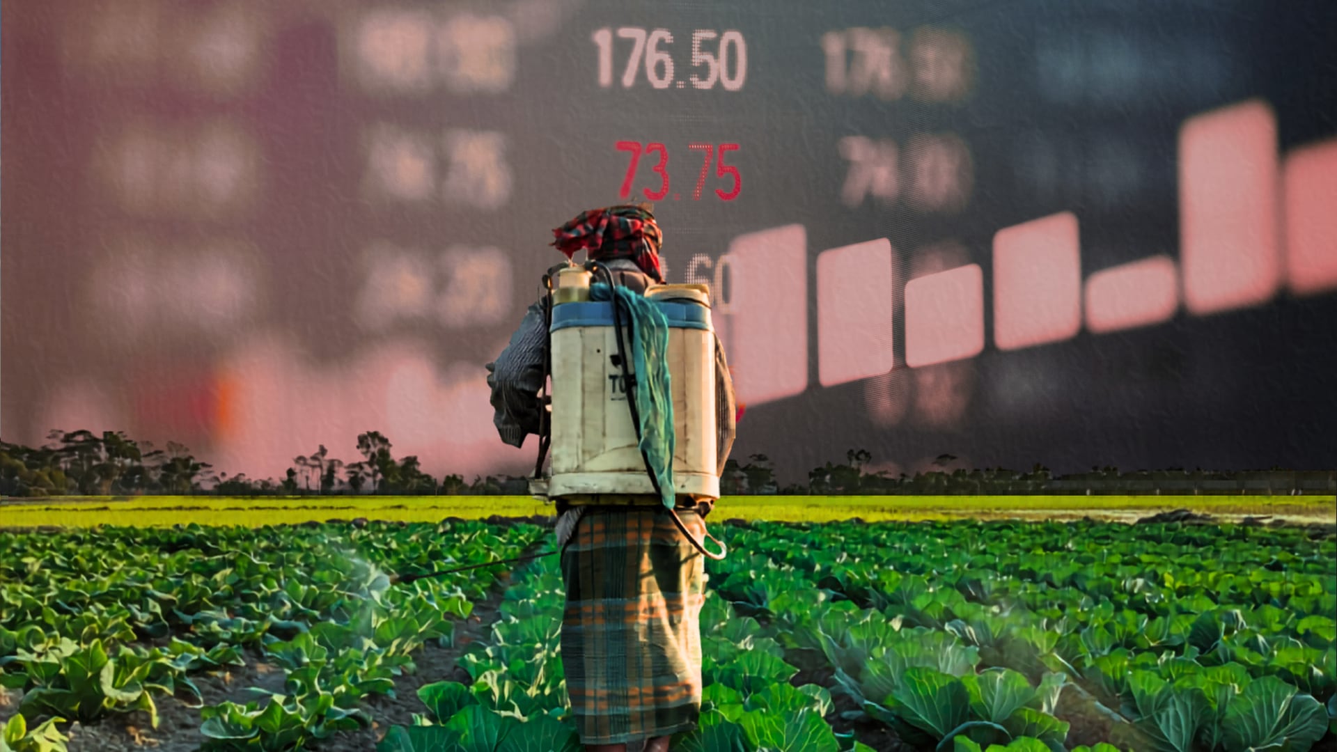 Composición fotográfica de un agricultor fertilizando la plantación con gráficos rojos detrás (Infobae)