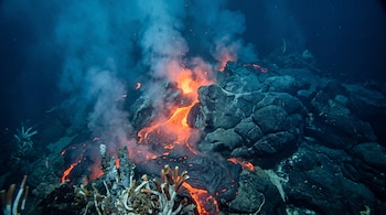 Agua oscura, magma incandescente de color naranja y rojo, roca volcánica oscura, columnas de vapor blanco, organismos marinos tubulares.