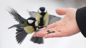 Una nueva investigación científica afirma