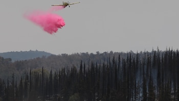 La UE activa el mecanismo