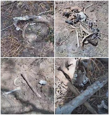 Esta fue la búsqueda número 34 del colectivo. Crédito: Facebook - Desaparecidos en Tamaulipas Colectivo Amor