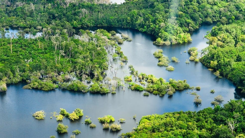 Vista aérea de la selva amazónica, cerca de Manaus (Europa Press)