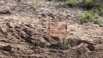 Colectivos hallan 4 cuerpos en Elota: publican prendas para identificar a las víctimas