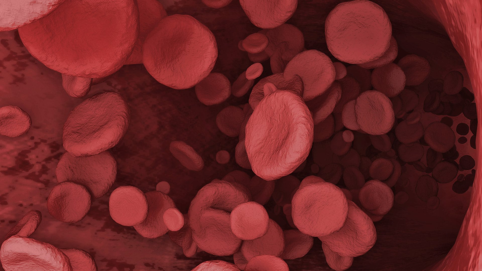 En Argentina se diagnostican cerca de 13 mil nuevos casos de cánceres de la sangre cada año (Freepik)