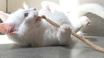 El entorno de su hogar