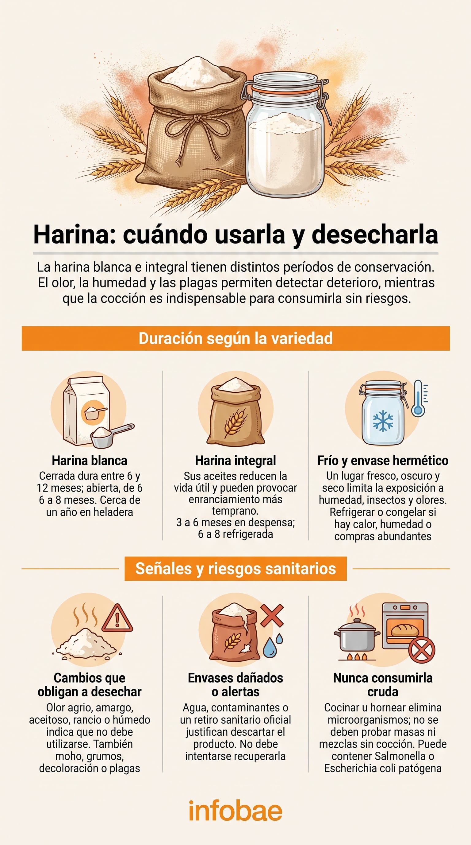 La limpieza de las superficies evita que la harina cruda contamine otros alimentos. (Imagen Ilustrativa Infobae)