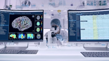 Distinguieron a dos proyectos del CONICET: un software para personas con epilepsia y una molécula para lesiones medulares