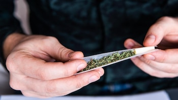 Uso frecuente de marihuana relacionado con epilepsia más grave