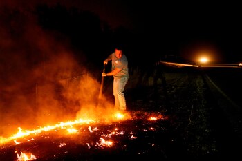 El incendio forestal "344 Fire"