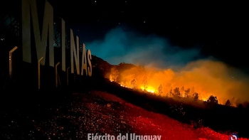 Más de dos mil hectáreas