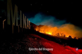 Un incendio afectó más de