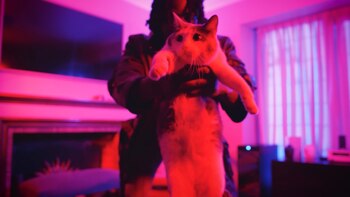 La canción se ha posicionado