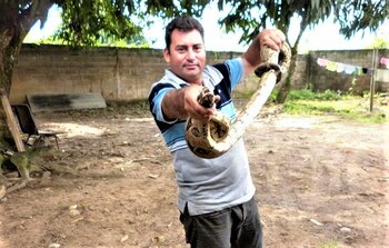 A David Labrador la guerrilla