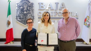 Este es el estímulo fiscal para la industria vitivinícola en Baja California