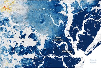 Entre 2007 y 2020, el