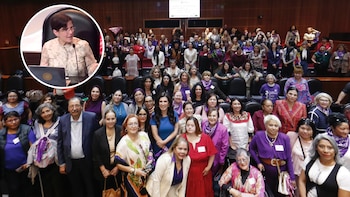 ONU advierte en la Cámara