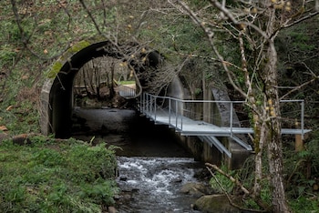 Pasarela en el Berce do Sar (TURISMO DE GALICIA).