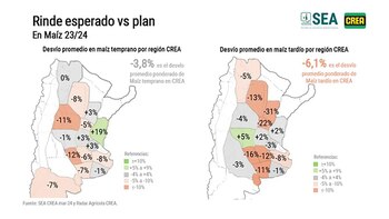 Las proyecciones para el maíz
