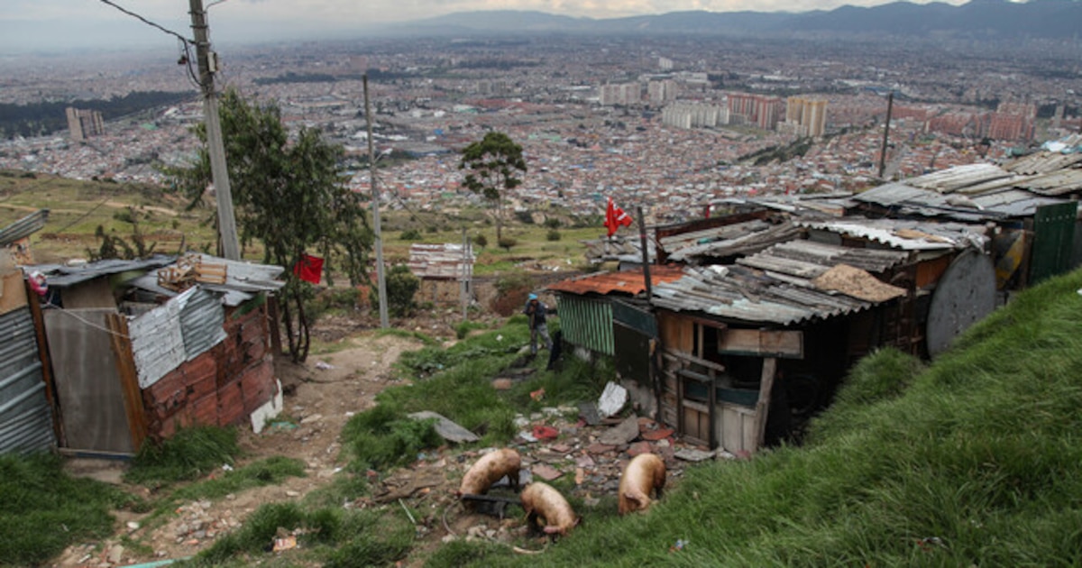 Pobreza multidimensional en Bogotá cayó un 60% y fue la reducción más ...
