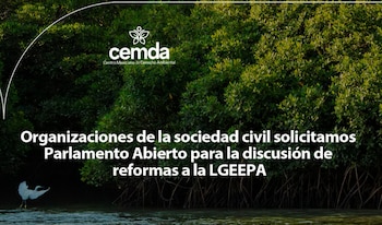 Centro Mexicano de Derecho Ambiental, uno de los firmantes para abrir el debate en el Congreso de la Unión sobre la reforma en materia ambiental. (Captura de pantalla)