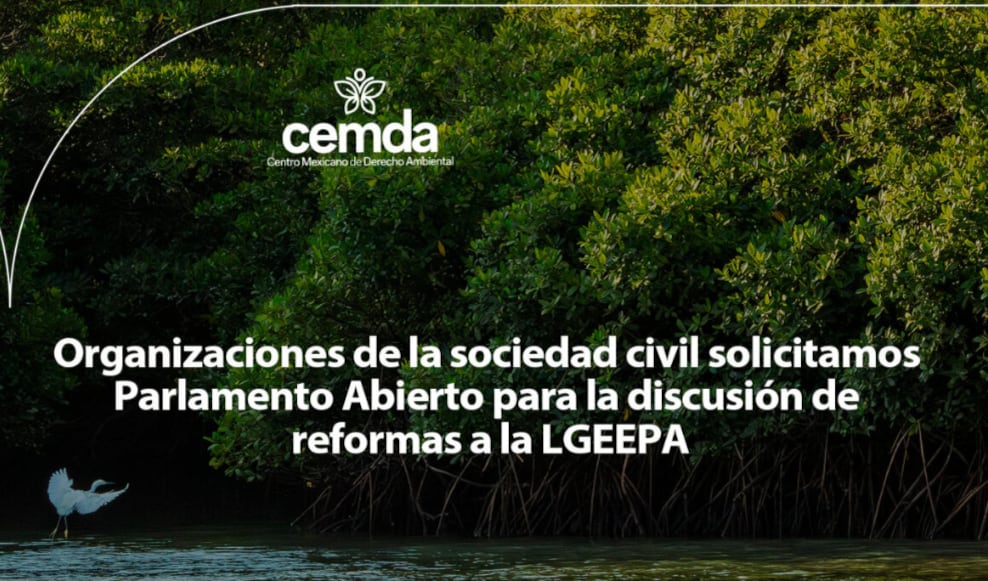 Centro Mexicano de Derecho Ambiental, uno de los firmantes para abrir el debate en el Congreso de la Unión sobre la reforma en materia ambiental. (Captura de pantalla)