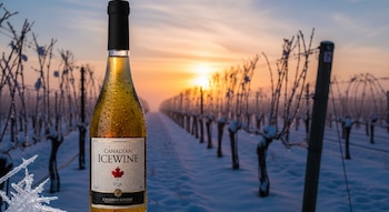 Botella de vino con gotas de agua y etiqueta Canadian Icewine, en un viñedo nevado con vides al atardecer, con formaciones de hielo en el primer plano.