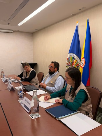 Las organizaciones señalaron que el acompañamiento internacional es una herramienta clave para fortalecer la transparencia y brindar garantías durante el desarrollo de las elecciones - crédito Consejo Gremial Nacional