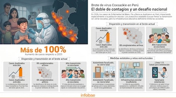 Infografía del brote de Coxsackie en Perú. Incluye un niño enfermo con su familia, médico en PPE, mapa de Perú con focos, gráficos de casos y retos escolares.