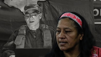 Las disidencias de las Farc