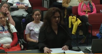 Durante una sesión legislativa se