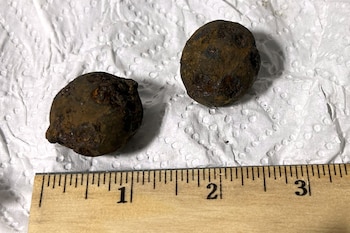 La pieza más grande tenía el tamaño de un pomelo y un peso comparable al de una bala de lanzamiento; la más pequeña, cerca de 2,5 centímetros (una pulgada) de diámetro (Transportation Security Administration vía AP).