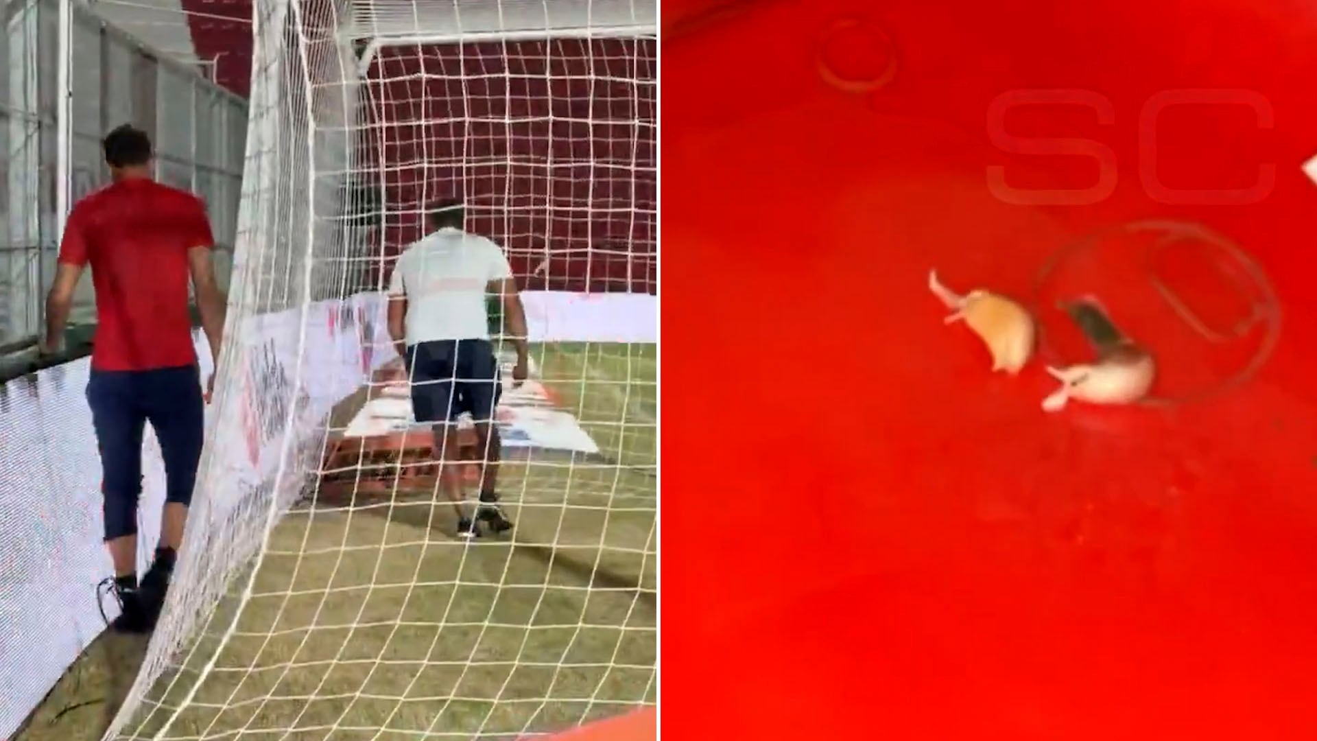 La aparición de dientes de ajo en el estadio de Instituto sorprendió al conjunto visitante (@SC_ESPN)