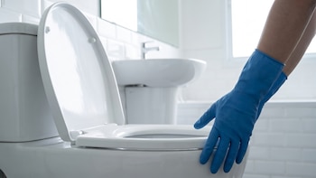 La parte del excusado que casi nadie limpia y que concentra más bacterias que la taza
