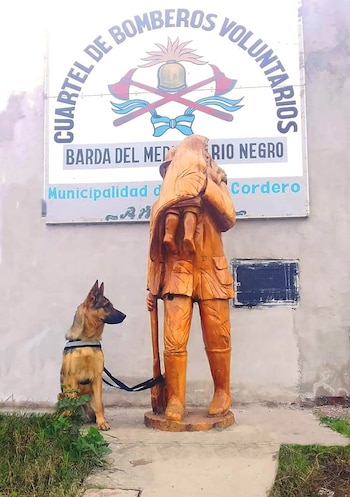 La Justicia de Río Negro