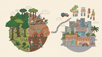 Un dibujo muestra un bosque con animales, una zona talada con trabajadores y una excavadora, una ciudad con edificios y supermercados, y manos con billetes y productos.