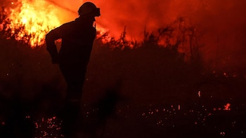 Francia teme un "rebrote" del fuego en el incendio de Gironda
