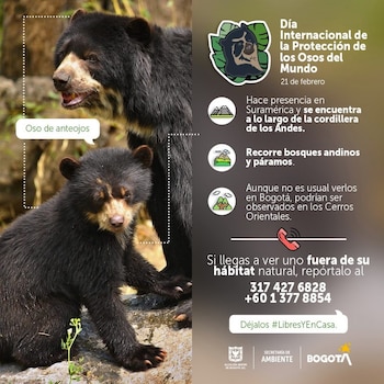 Hay canales de comunicación para que usted pueda informar de un avistamiento que pueda poner en peligro a esta especie mamífera - crédito Observatorio Ambiental de Bogotá de la Secretaría Distrital de Ambiente / sitio web