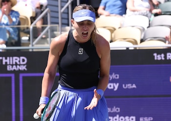 Imagen LSAYYWKI3BHSPCGWJXUHMCA6N4