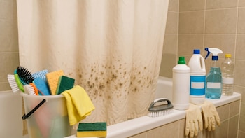 Cada cuánto se debe lavar la cortina de baño y el método correcto para eliminar el moho y la suciedad
