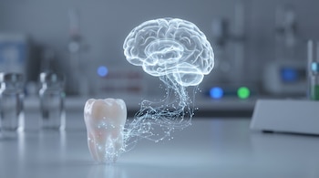 Un diente transparente en una mesa de laboratorio está unido por destellos de luz a la figura flotante de un cerebro humano.