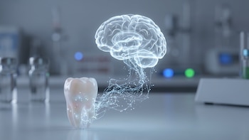 Los dientes de leche revelan cómo la exposición temprana a metales altera el desarrollo cerebral en la adolescencia