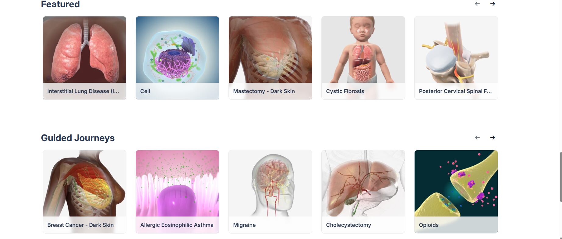 La tecnología facilita el análisis de lesiones, procesos patológicos y relaciones espaciales del cuerpo - crédito BioDigital Human